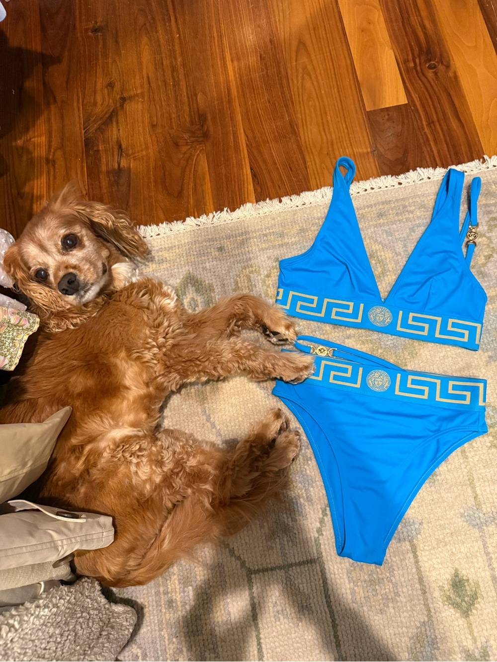 Versace Size 2 Turquoise High Rise Blue Gold-Trim Bikini Set